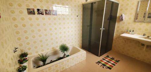 Bauru Hostel | Hostel Bauru