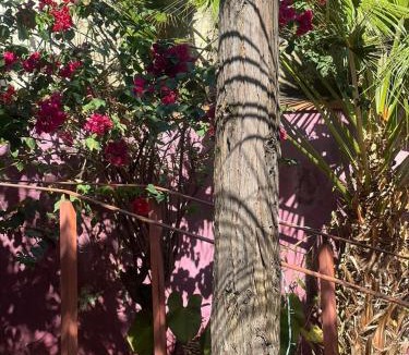 Aguas da Prata Hostel | hostel brasil