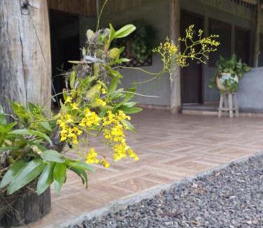 Timbe do Sul Hostel | Hostel e Camping Vale Mirante da Rocha