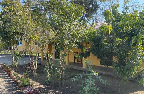 Sauraha Hostel | Hostel Jungle Beats