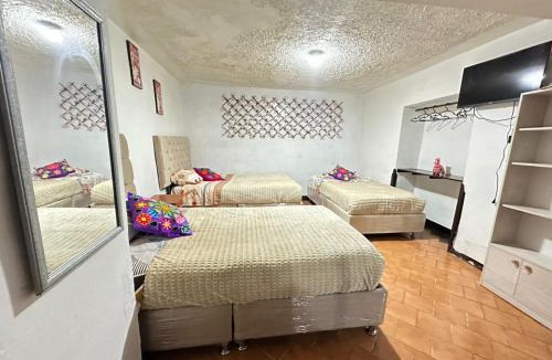 Cusco Historic Center Hotel | Hostel Magico 3