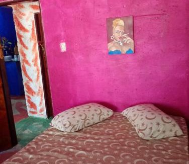 Aracati House | Hostel Mamitchesca