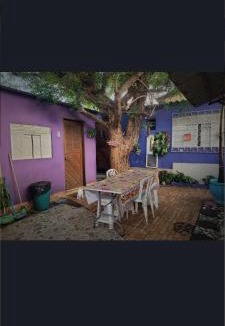 Ponta Negra Hostel | Hostel Margo House