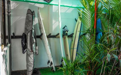 Playa Guiones House | Hostel Nosara