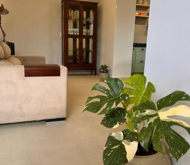 Agronomica Hostel | Hostel Oliva
