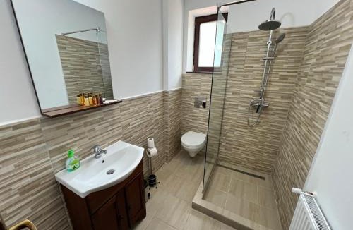Richis Hostel | Hostel Omul Verde