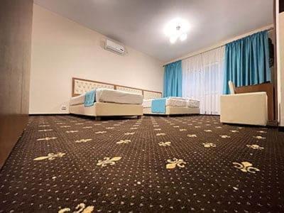 Hunedoara Hotel | Hostel Paltinis