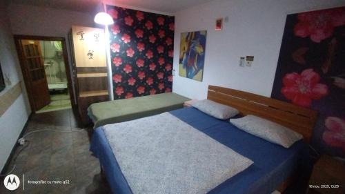 Alesd House | Hostel Pascalis Alesd