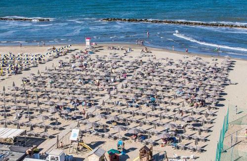 Lido di Classe Hotel | Hotel Adler