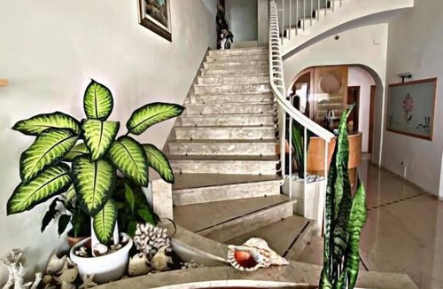 Viserba Hotel | Hotel Adriatica