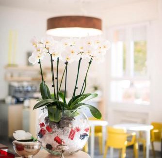 Historic Centre Hotel | Hotel Al Prato