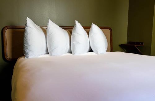City Center Hotel | Hotel Alexander