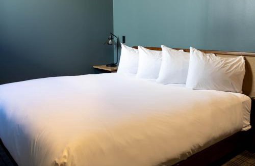 City Center Hotel | Hotel Alexander