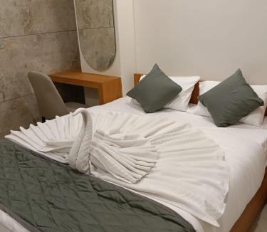 Savli Hotel | Hotel Apex