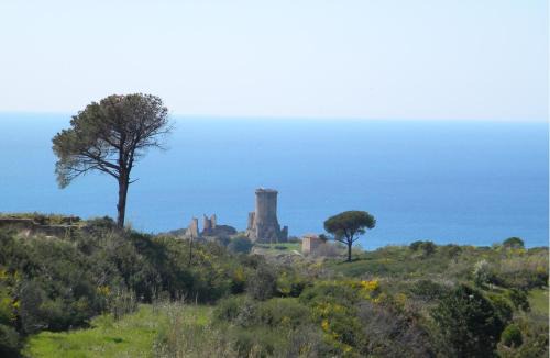 Marina di Ascea Hotel | Hotel Bacco