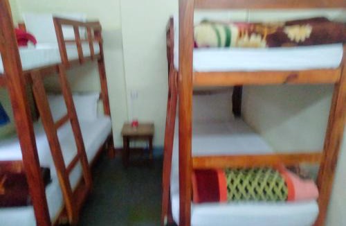 Thamel Hotel | hotel Backpackers inn