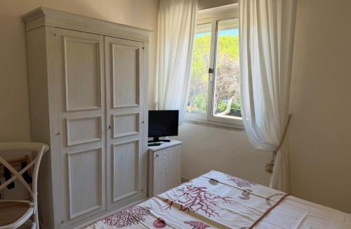 Vada Hotel | Hotel Bagni Lido