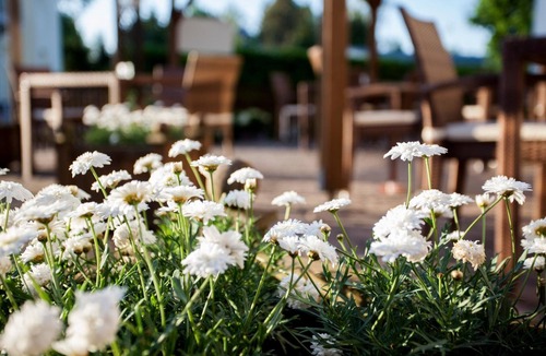 Schonwalde Hotel | Hotel Barnimer Hof