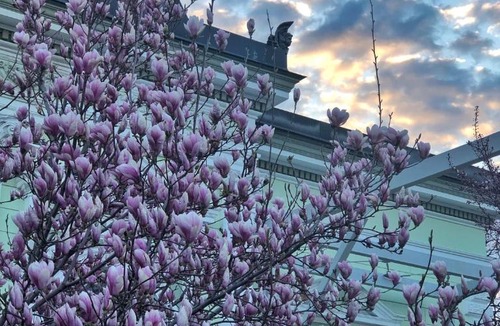 Botosani Hotel | Hotel Belvedere