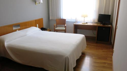 Olot Hotel | Hotel Borrell