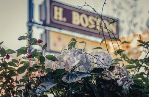 Valverde Hotel | Hotel Boston