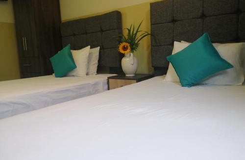 Brena Hotel | Hotel Brickell
