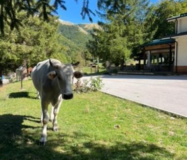Leonessa Hotel | HOTEL CAMPO STELLA