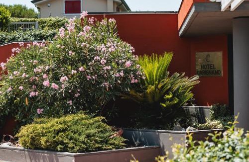 Vicopelago Hotel | Hotel Carignano