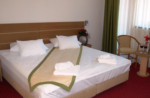 Cioplea Hotel | Hotel Carpați