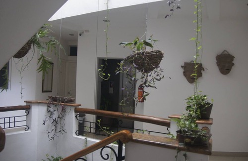 Downtown Puerto Vallarta Hotel | Hotel Casa del Parque Vallarta