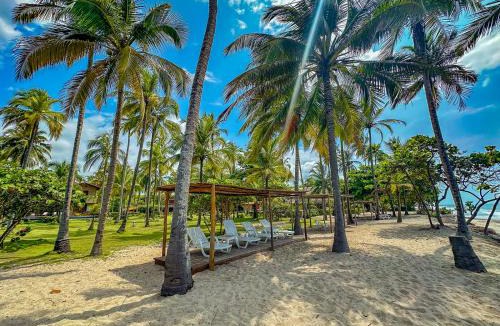 Palomino Hotel | Hotel Chiniu