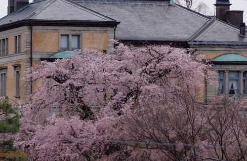 Gion Hotel | Hotel Chourakukan Kyoto Gion