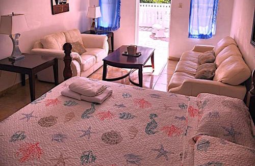 Carrizal Hotel | Hotel Colombus