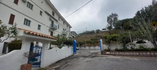 Copanello Hotel | Hotel Conca d'Oro