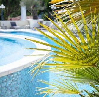 Pinarella Hotel | Hotel Conchiglia