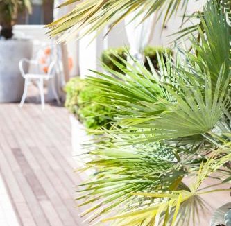 Pinarella Hotel | Hotel Conchiglia