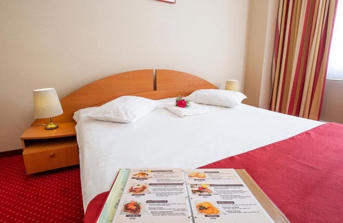 Satu Mare Hotel | Hotel Dana