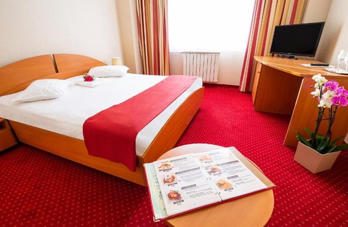 Satu Mare Hotel | Hotel Dana