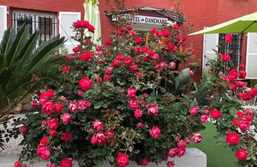 Les Baumettes Hotel | Hotel Danemark