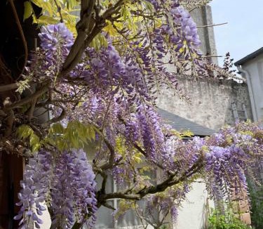 Beaugency Hotel | Hotel de la Sologne