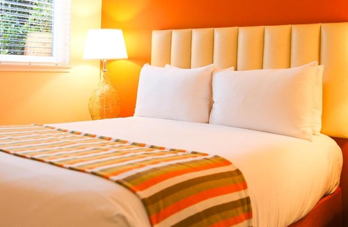 Cow Hollow Hotel | Hotel Del Sol