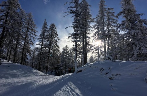 Rosta Hotel | Hotel Des Alpes