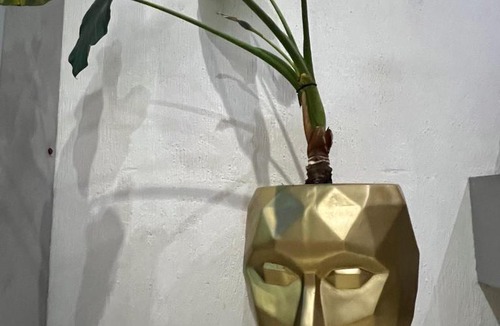 Zapopan Hotel | Hotel don Bosco