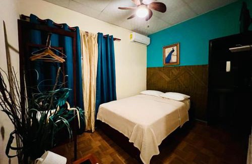 Hato Viejo Hotel | HOTEL Ecológico BLUEROCK