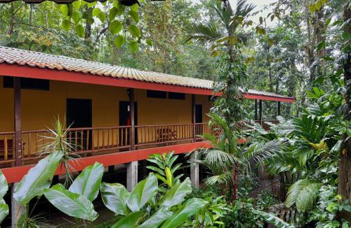 Puerto Viejo de Sarapiqui Hotel | Hotel El Bambu