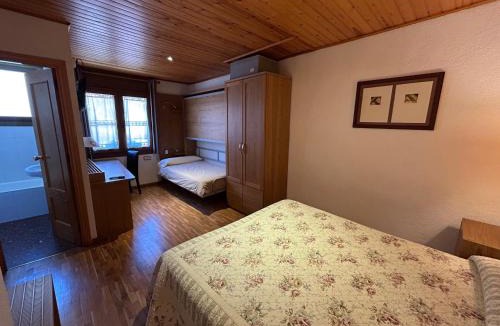 Esterri D'Aneu Hotel | Hotel Els Puis