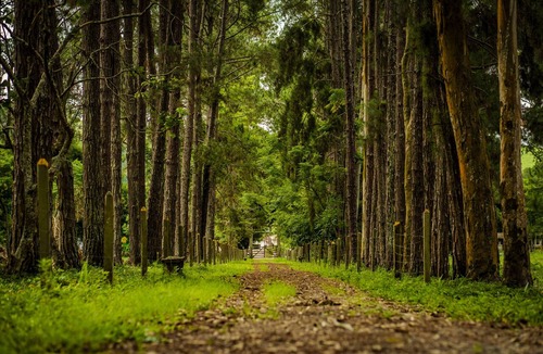 Sao Lourenco Hotel | Hotel Fazenda Ramon
