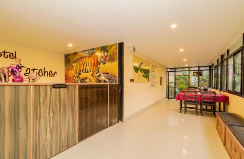 Sauraha Hotel | Hotel Flycatcher