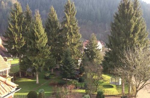 Oberwolfach House | Hotel Garni Café Schacher
