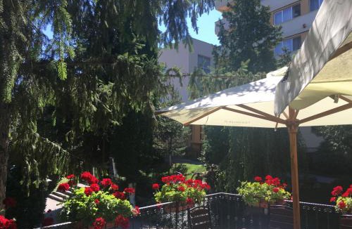 Geoagiu Hotel | Hotel Germisara